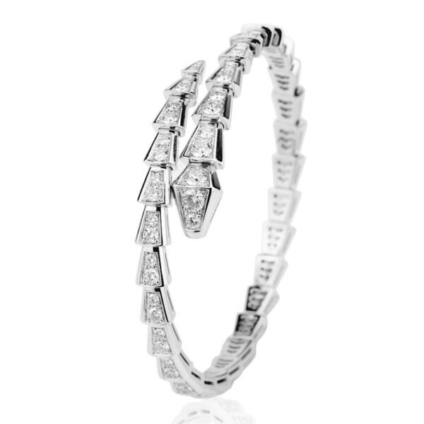 Fashion Adjustable Personalized Snake Bone Bracelet - Image 2